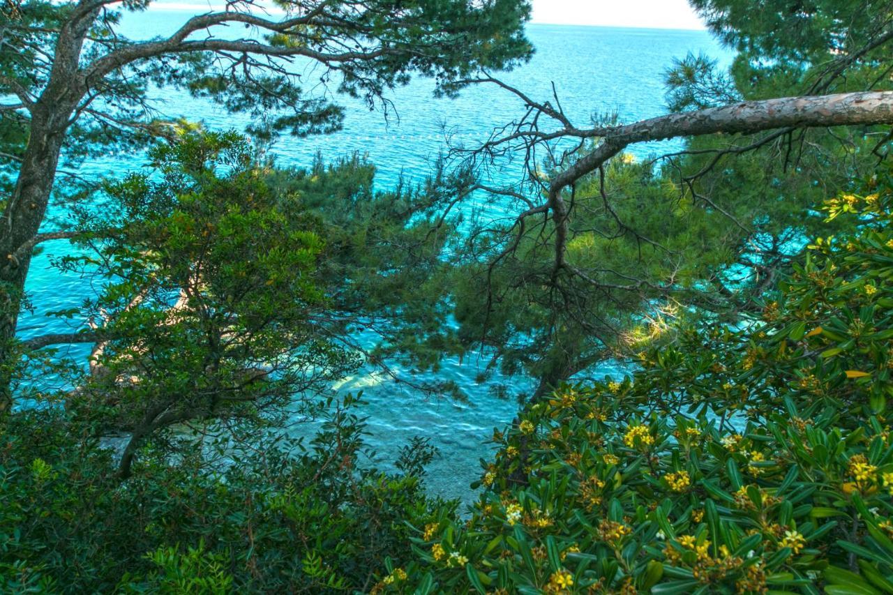 Apartments By The Sea Brela, Makarska - 16950 Exterior photo